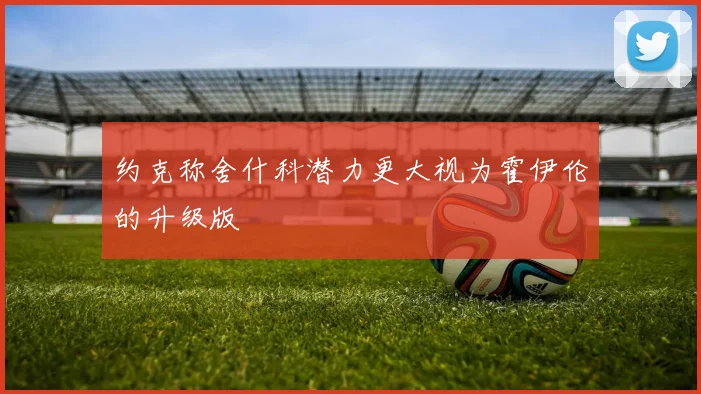 约克称舍什科潜力更大视为霍伊伦的升级版