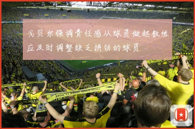 戈贝尔强调责任感从球员做起教练应及时调整缺乏拼劲的球员