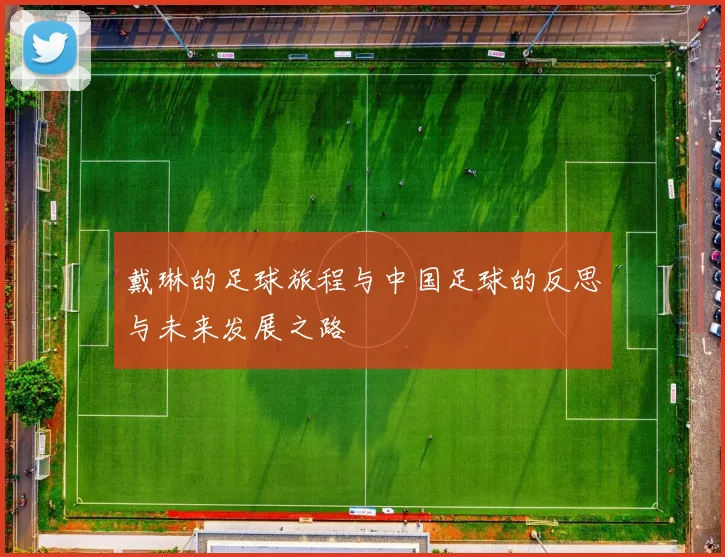 戴琳的足球旅程与中国足球的反思与未来发展之路