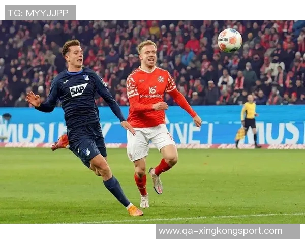 多特蒙德关注霍芬海姆前锋阿斯拉尼拜仁并不将其列为首要引援目标